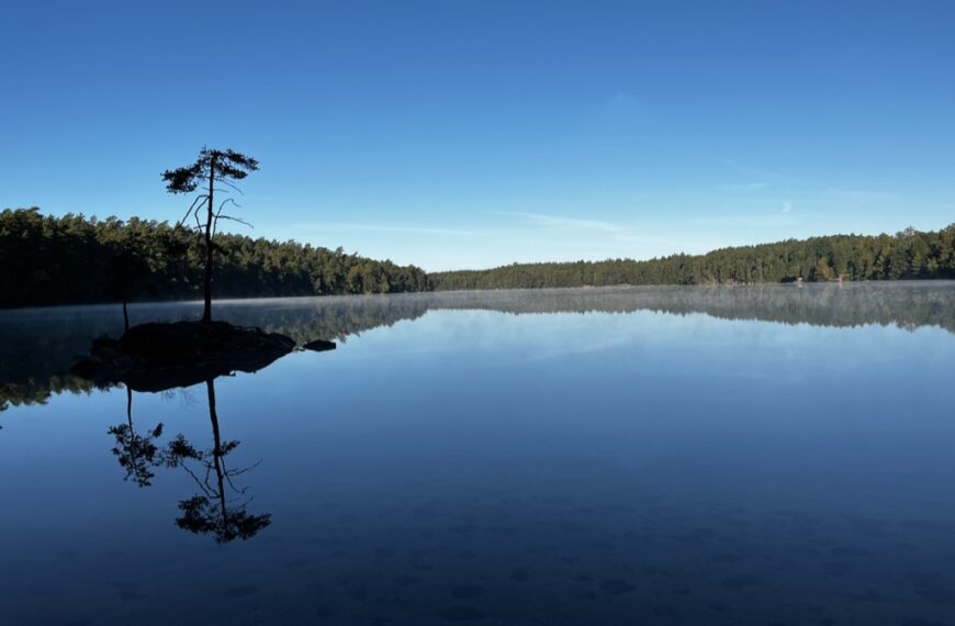 2.1 Svanen. Villa Fridhems miljöarbete. Lärarledd